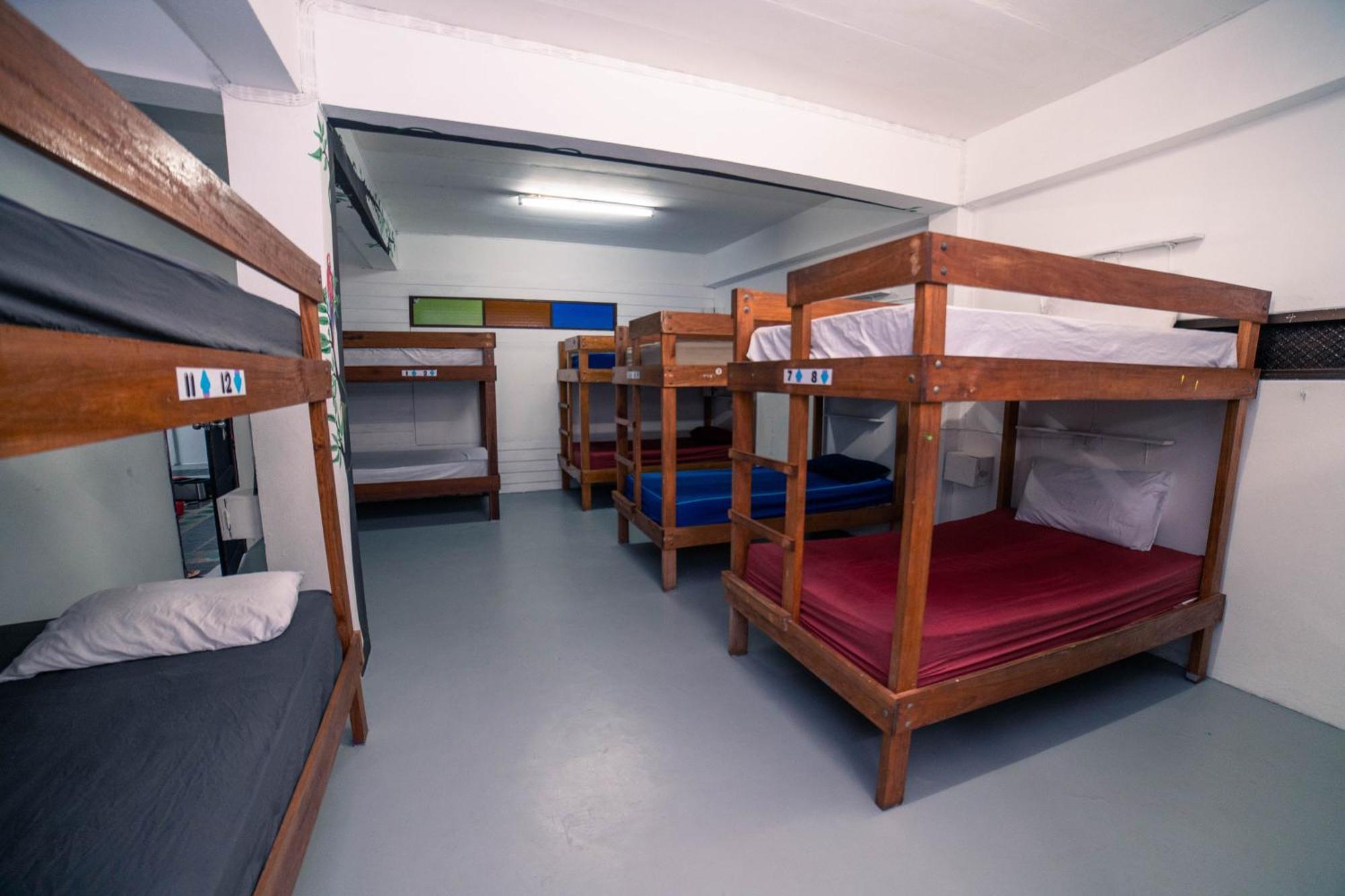 Single Bed Mixed Dormitory Room,342831073:JPEG
